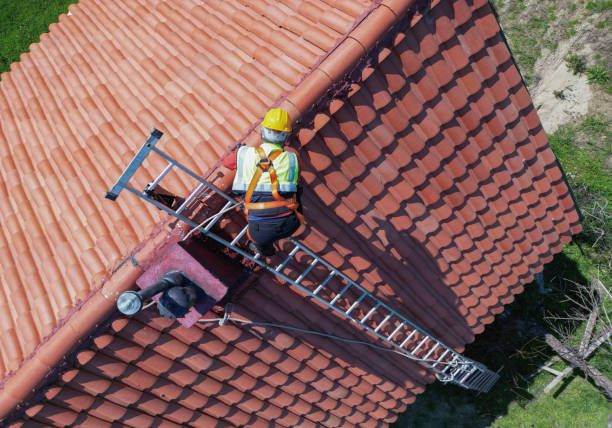 Best Tile Roofing Installation  in Golden Meadow, LA